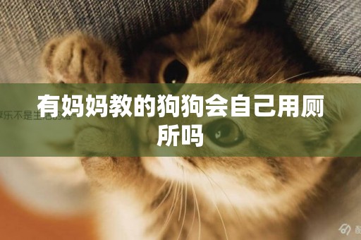 有媽媽教的狗狗會自己用廁所嗎