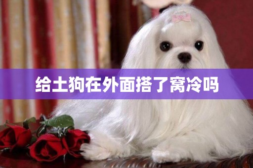 給土狗在外面搭了窩冷嗎