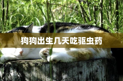 狗狗出生幾天吃驅蟲藥
