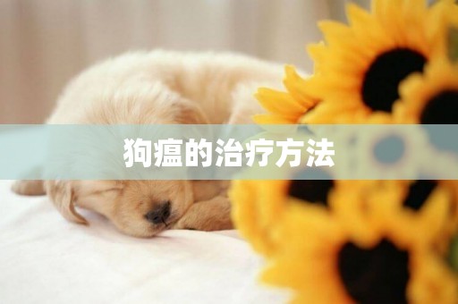 狗瘟的治療方法