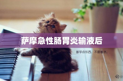 薩摩急性腸胃炎輸液后