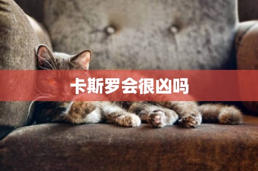 卡斯羅會很兇嗎