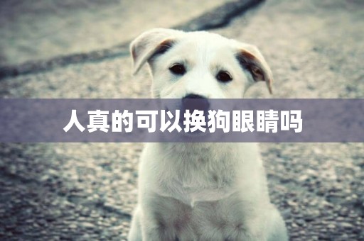 人真的可以換狗眼睛嗎