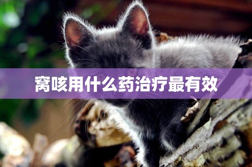 窩咳用什么藥治療最有效