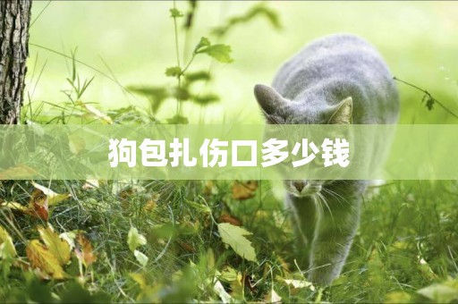 狗包扎傷口多少錢