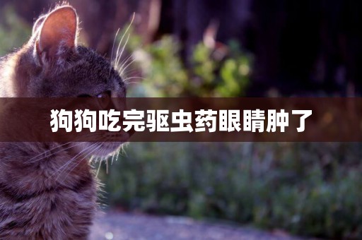 狗狗吃完驅蟲藥眼睛腫了