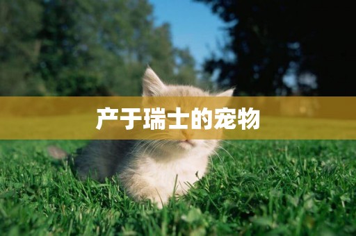 產于瑞士的寵物