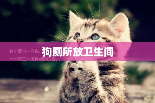 狗廁所放衛生間