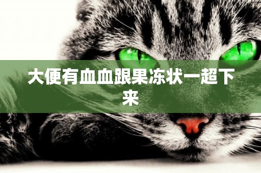 大便有血血跟果凍狀一超下來