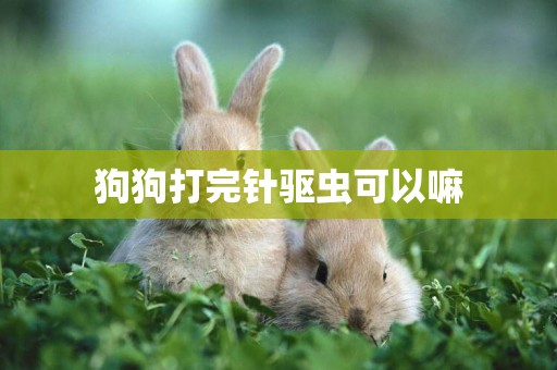 狗狗打完針驅蟲可以嘛