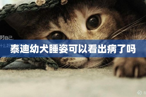 泰迪幼犬睡姿可以看出病了嗎