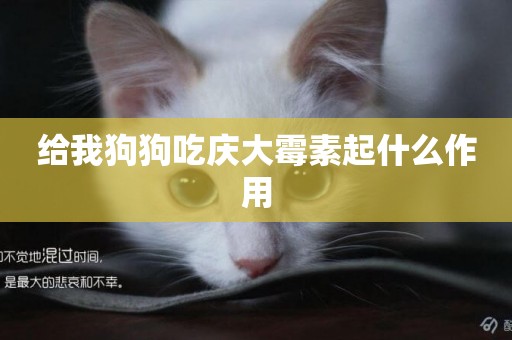 給我狗狗吃慶大霉素起什么作用
