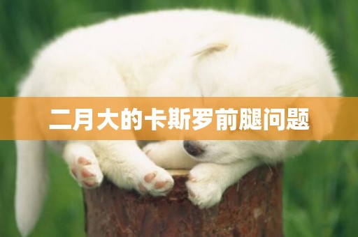 二月大的卡斯羅前腿問題