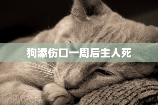 狗添傷口一周后主人死