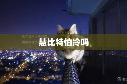 慧比特怕冷嗎
