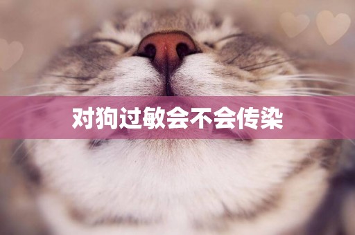 對狗過敏會不會傳染