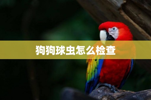 狗狗球蟲怎么檢查