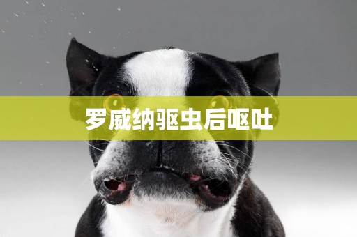 羅威納驅蟲后嘔吐
