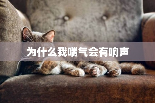 為什么我喘氣會有響聲