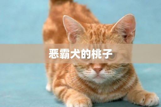 惡霸犬的桃子