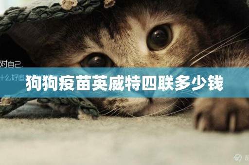 狗狗疫苗英威特四聯多少錢