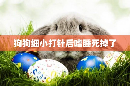 狗狗細小打針后嗜睡死掉了