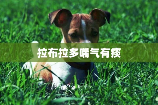 拉布拉多喘氣有痰