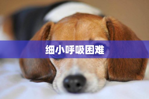 細小呼吸困難