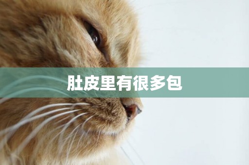 肚皮里有很多包