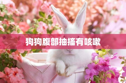 狗狗腹部抽搐有咳嗽