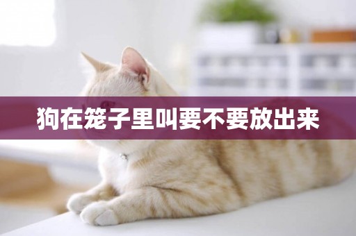 狗在籠子里叫要不要放出來
