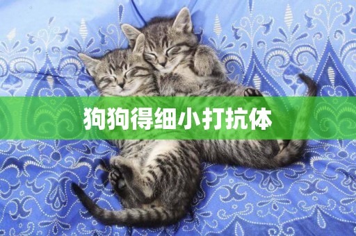 狗狗得細小打抗體