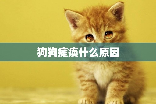 狗狗癱瘓什么原因
