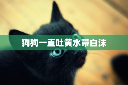狗狗一直吐黃水帶白沫