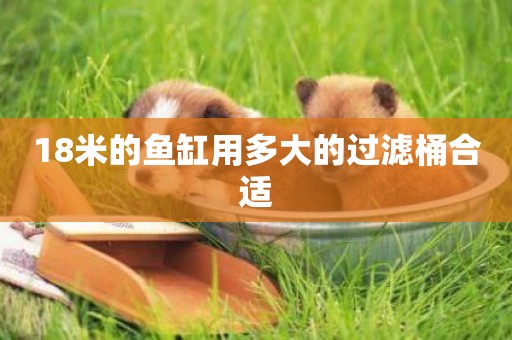 18米的魚缸用多大的過濾桶合適