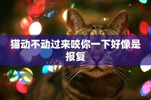 貓動不動過來咬你一下好像是報復