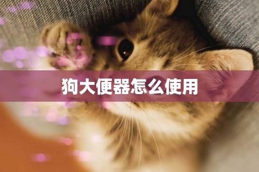 狗大便器怎么使用