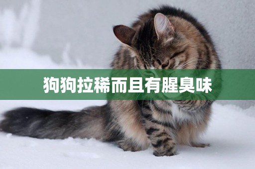 狗狗拉稀而且有腥臭味