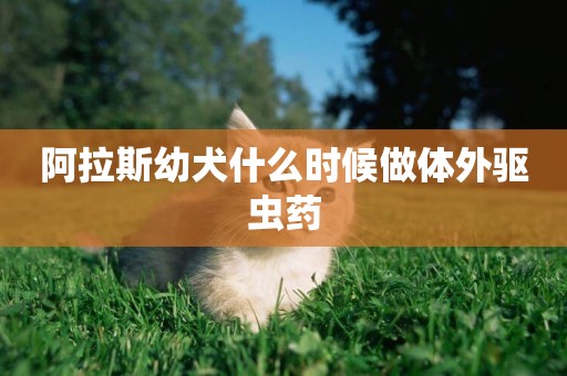 阿拉斯幼犬什么時候做體外驅蟲藥