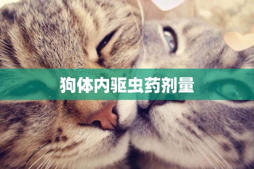 狗體內驅蟲藥劑量