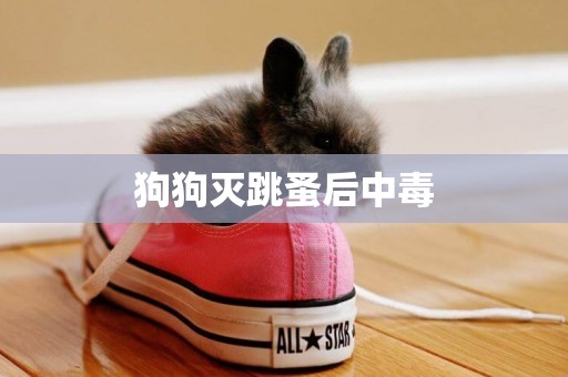 狗狗滅跳蚤后中毒