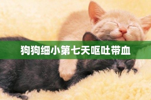 狗狗細小第七天嘔吐帶血