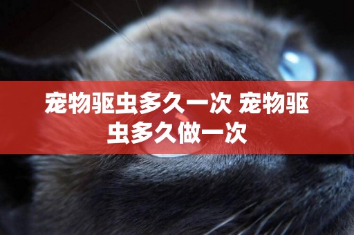 寵物驅蟲多久一次 寵物驅蟲多久做一次