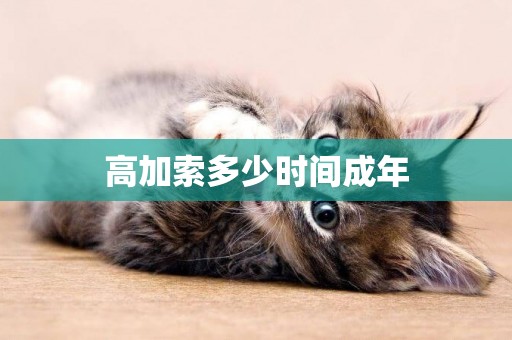 高加索多少時間成年