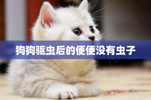 狗狗驅蟲后的便便沒有蟲子