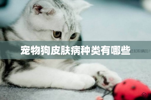 寵物狗皮膚病種類有哪些