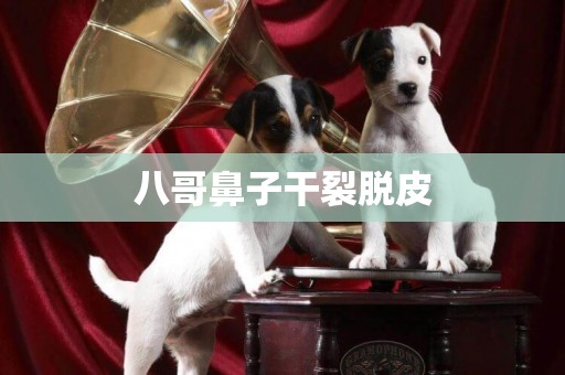 八哥鼻子干裂脫皮