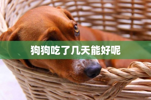 狗狗吃了幾天能好呢