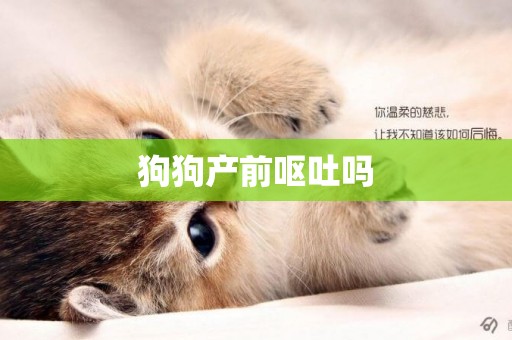 狗狗產前嘔吐嗎