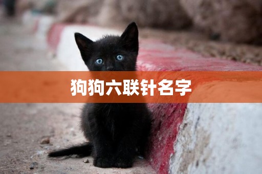 狗狗六聯針名字